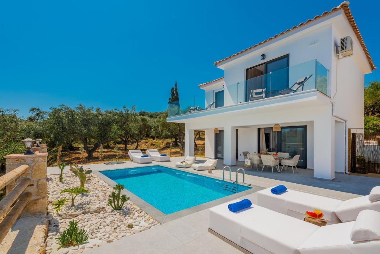 Queen Of Zakynthos Luxury Villas Amoudi Ngoại thất bức ảnh